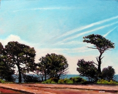 Trees along coast